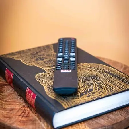 L'albatros 006 - Hypercentre * Cosy * Wifi